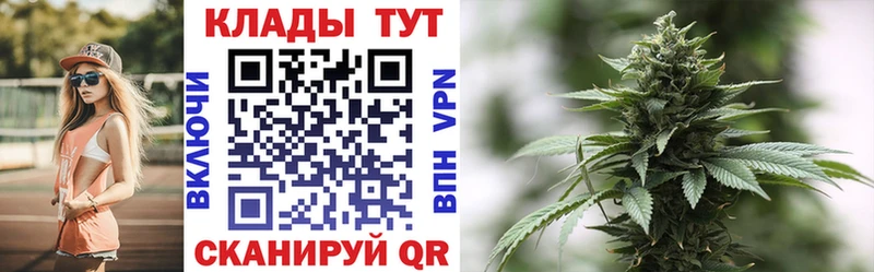 Где купить наркоту Дятьково Бошки Шишки  Псилоцибиновые грибы  hydra ссылка  ГАШИШ 