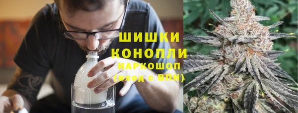 ГАЛЛЮЦИНОГЕННЫЕ ГРИБЫ Гусев