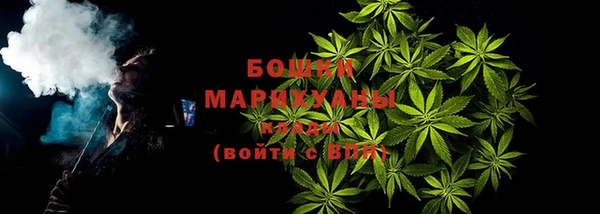 эйфоретик Гусь-Хрустальный