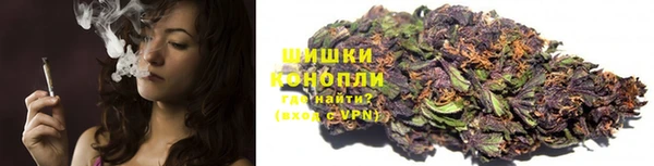 эйфоретик Гусь-Хрустальный