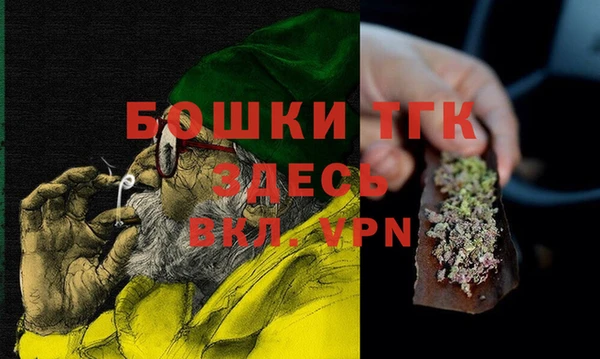 ГАЛЛЮЦИНОГЕННЫЕ ГРИБЫ Гусев