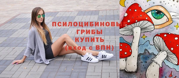 ГАЛЛЮЦИНОГЕННЫЕ ГРИБЫ Гусев