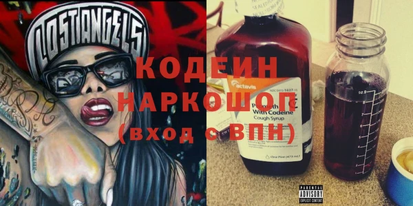 ГАЛЛЮЦИНОГЕННЫЕ ГРИБЫ Гусев
