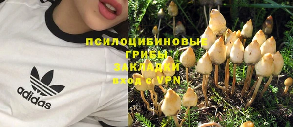 ГАЛЛЮЦИНОГЕННЫЕ ГРИБЫ Гусев