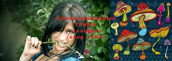 эйфоретик Гусь-Хрустальный