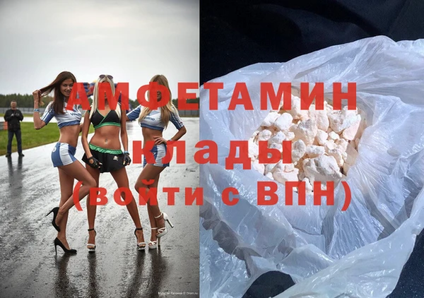 ГАЛЛЮЦИНОГЕННЫЕ ГРИБЫ Гусев