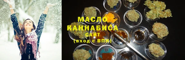 эйфоретик Гусь-Хрустальный