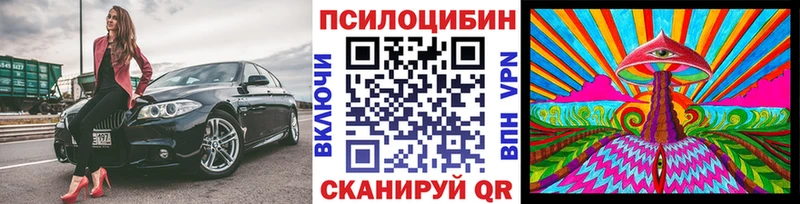 купить закладку omg вход Галлюциногенные грибы Psilocybe Дятьково