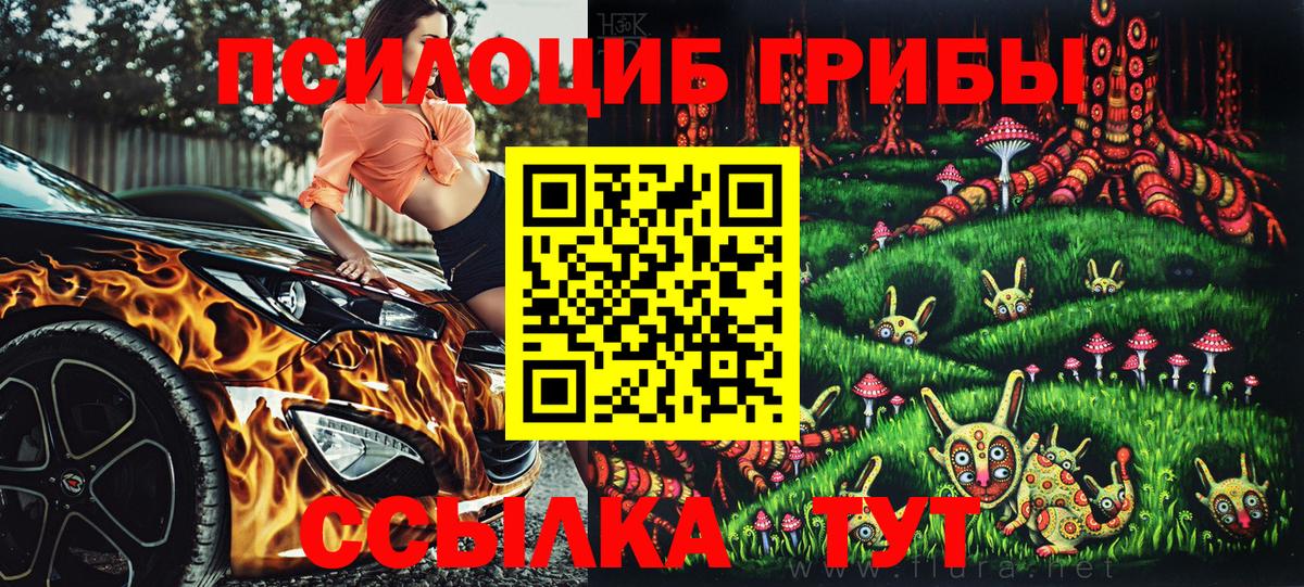 Псилоцибиновые грибы Psilocybe Дятьково