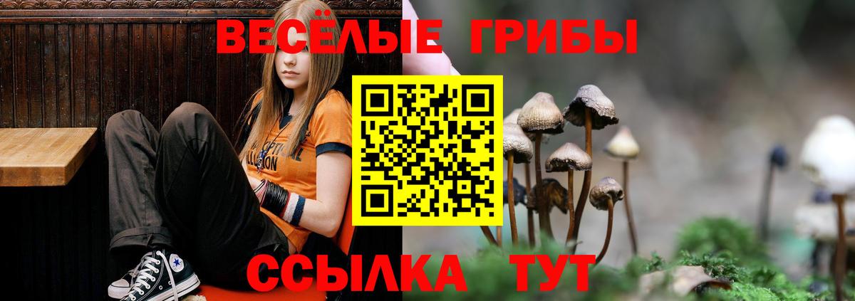 Псилоцибиновые грибы мухоморы  Вход с VPN  купить   Дятьково 